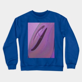 Celluloid Material Crewneck Sweatshirt